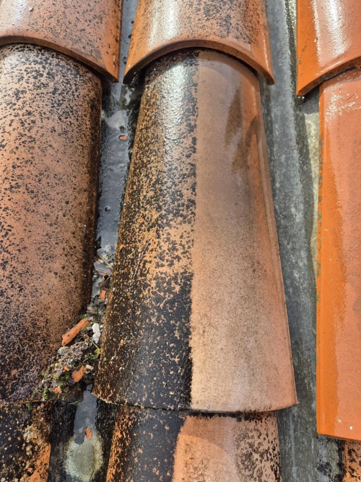 Nettoyage toiture tuiles Val-de-Marne